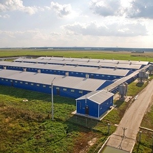 Ангар свинокомплекс, свиноферма